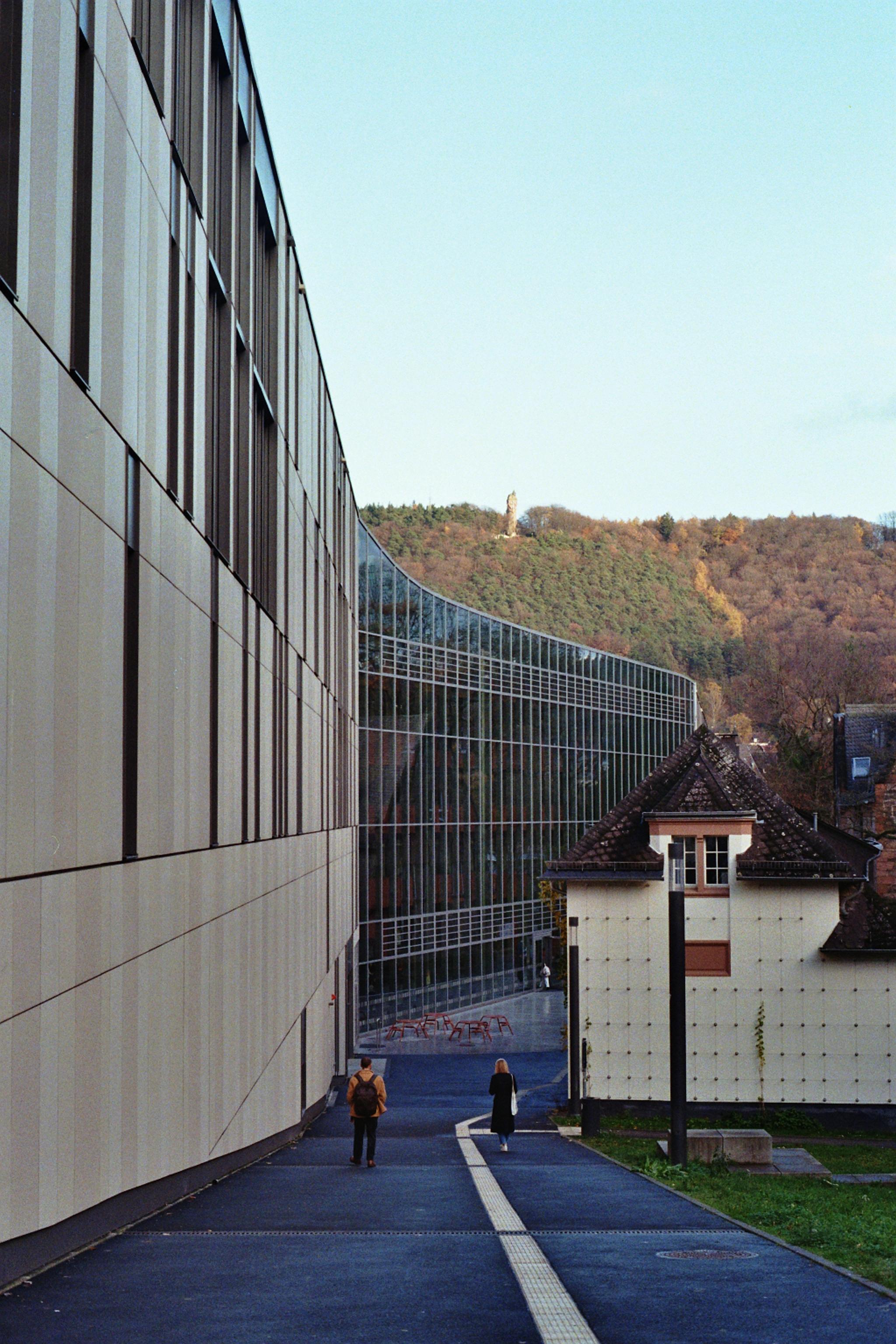 A mesmerizing view of a university library